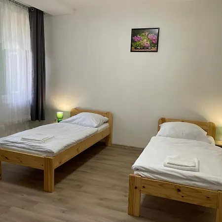 Grand In The Centre Of Apartment Teplice